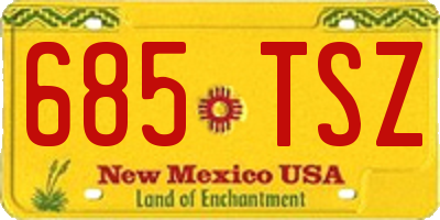 NM license plate 685TSZ