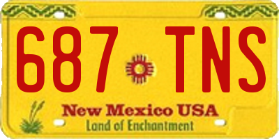 NM license plate 687TNS