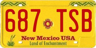 NM license plate 687TSB