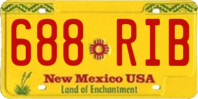 NM license plate 688RIB