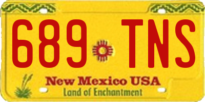 NM license plate 689TNS