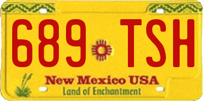 NM license plate 689TSH