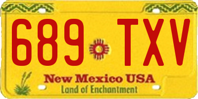NM license plate 689TXV