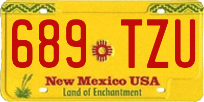 NM license plate 689TZU