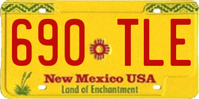 NM license plate 690TLE