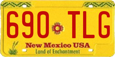 NM license plate 690TLG