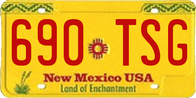 NM license plate 690TSG