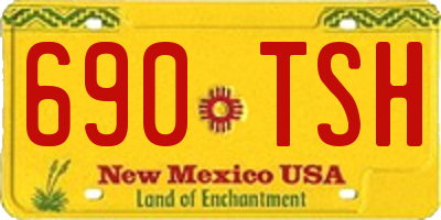 NM license plate 690TSH