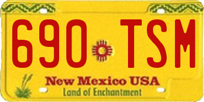 NM license plate 690TSM