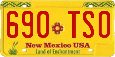 NM license plate 690TSO