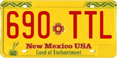 NM license plate 690TTL