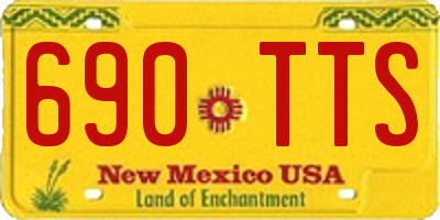 NM license plate 690TTS