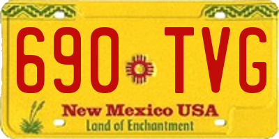 NM license plate 690TVG