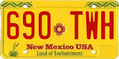 NM license plate 690TWH