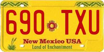 NM license plate 690TXU