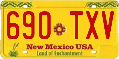 NM license plate 690TXV