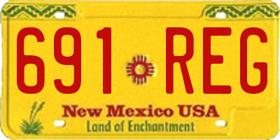 NM license plate 691REG