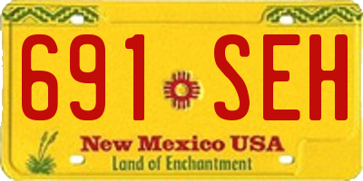 NM license plate 691SEH