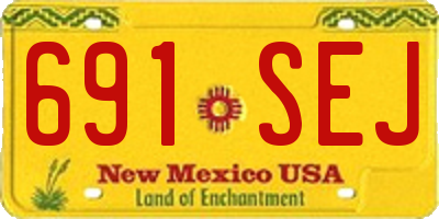 NM license plate 691SEJ