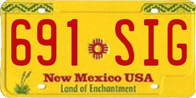 NM license plate 691SIG