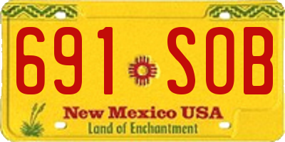 NM license plate 691SOB