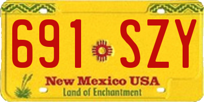 NM license plate 691SZY