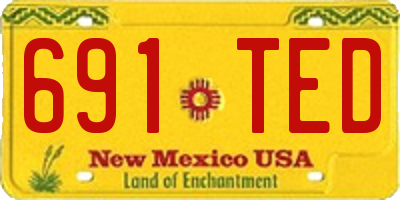 NM license plate 691TED