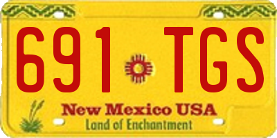 NM license plate 691TGS