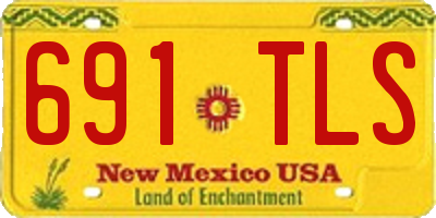 NM license plate 691TLS
