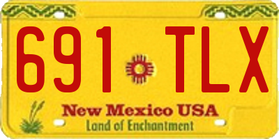 NM license plate 691TLX
