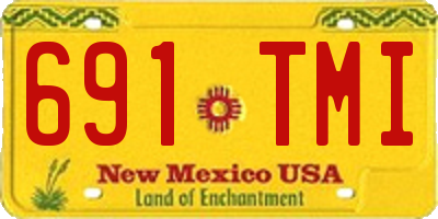 NM license plate 691TMI