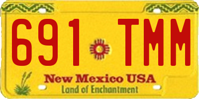 NM license plate 691TMM