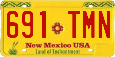 NM license plate 691TMN