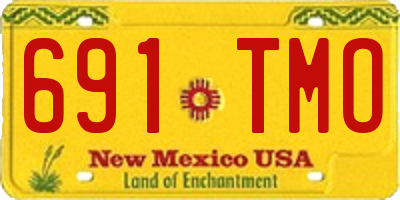 NM license plate 691TMO