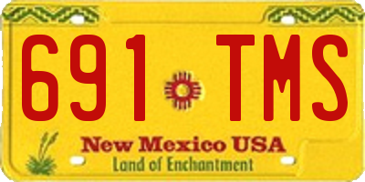 NM license plate 691TMS
