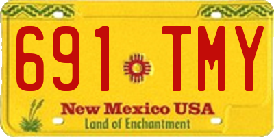 NM license plate 691TMY