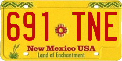 NM license plate 691TNE