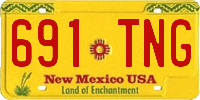 NM license plate 691TNG