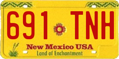 NM license plate 691TNH