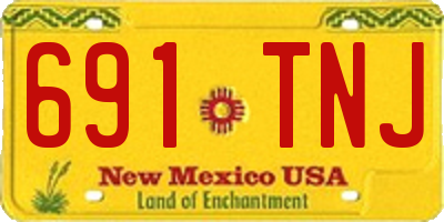 NM license plate 691TNJ