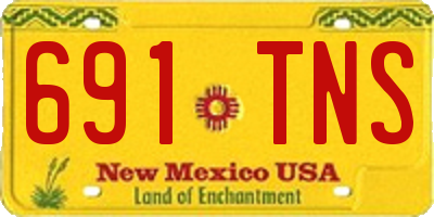 NM license plate 691TNS