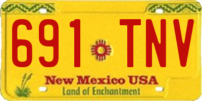 NM license plate 691TNV