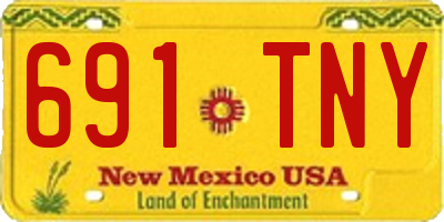 NM license plate 691TNY
