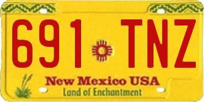 NM license plate 691TNZ