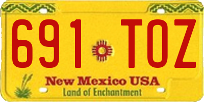 NM license plate 691TOZ