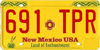 NM license plate 691TPR