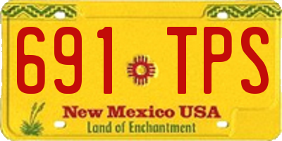 NM license plate 691TPS