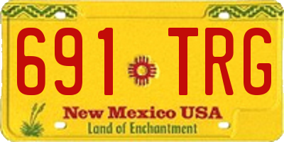NM license plate 691TRG