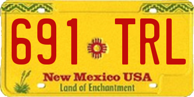 NM license plate 691TRL