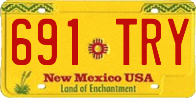NM license plate 691TRY